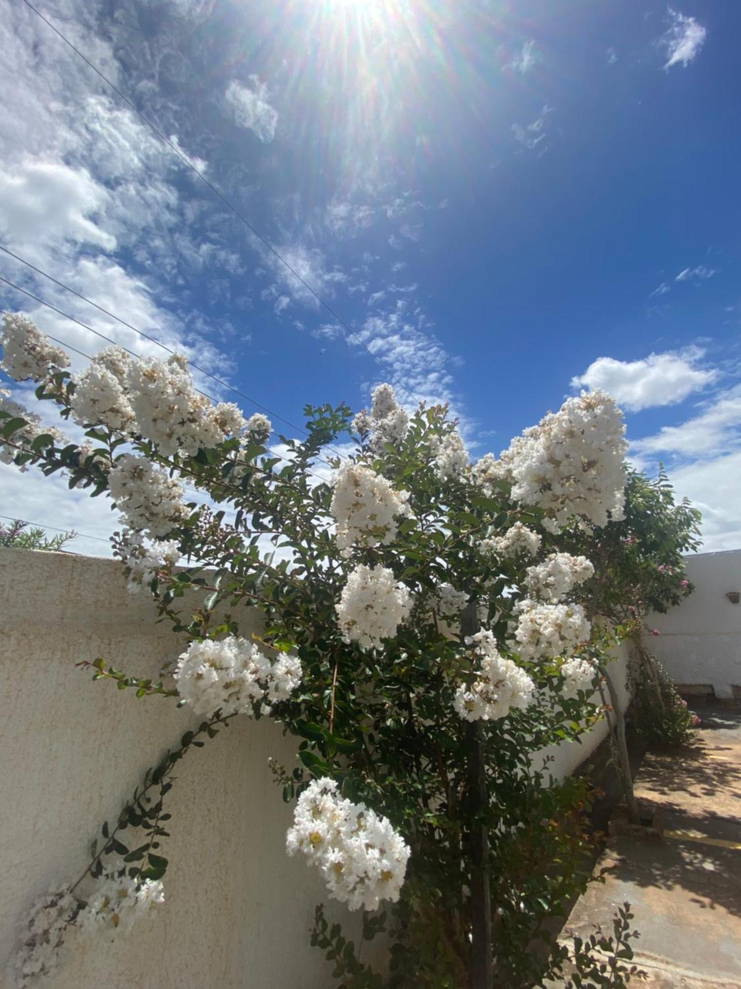 Queiroz Palace Hotel Siqueira Campos Buitenkant foto